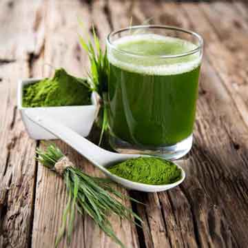 Ayurvedic & Herbal Products