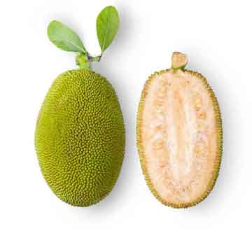 Jackfruit